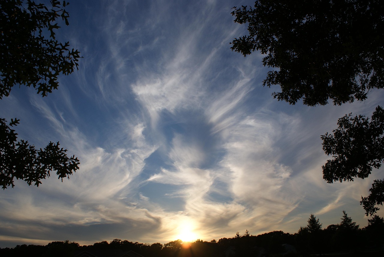 夕阳天使国语高清版，光影中的温情与视觉盛宴，温情视觉的双重享受